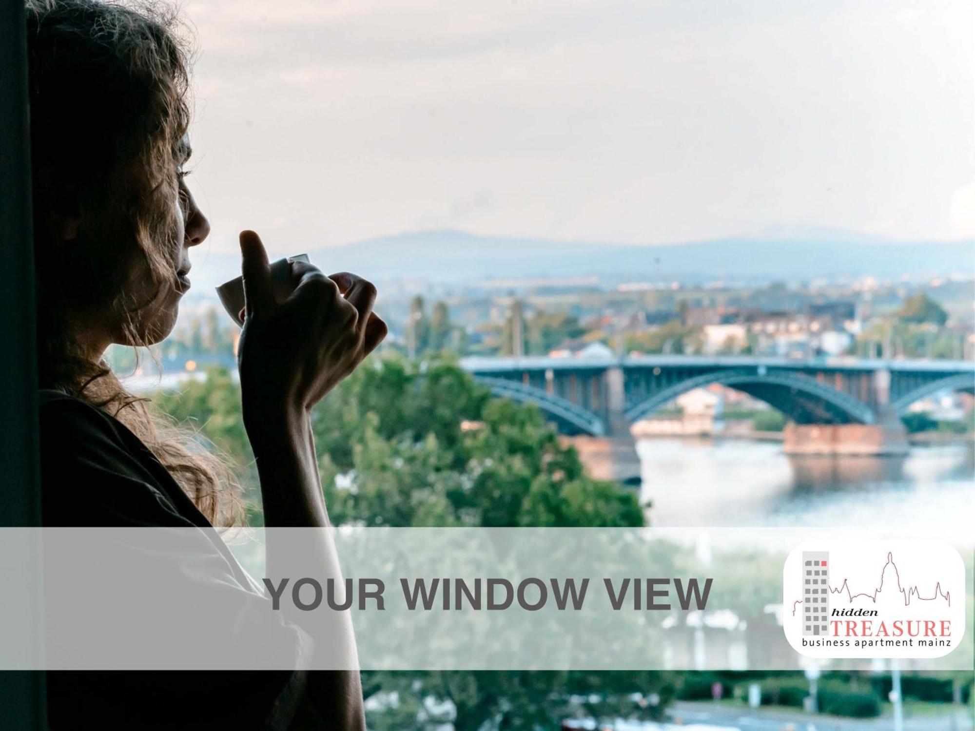 Hidden Treasure Business Apartment Mainz - Fantastic Rhine View In Center Of Mainz Old Town Exteriör bild