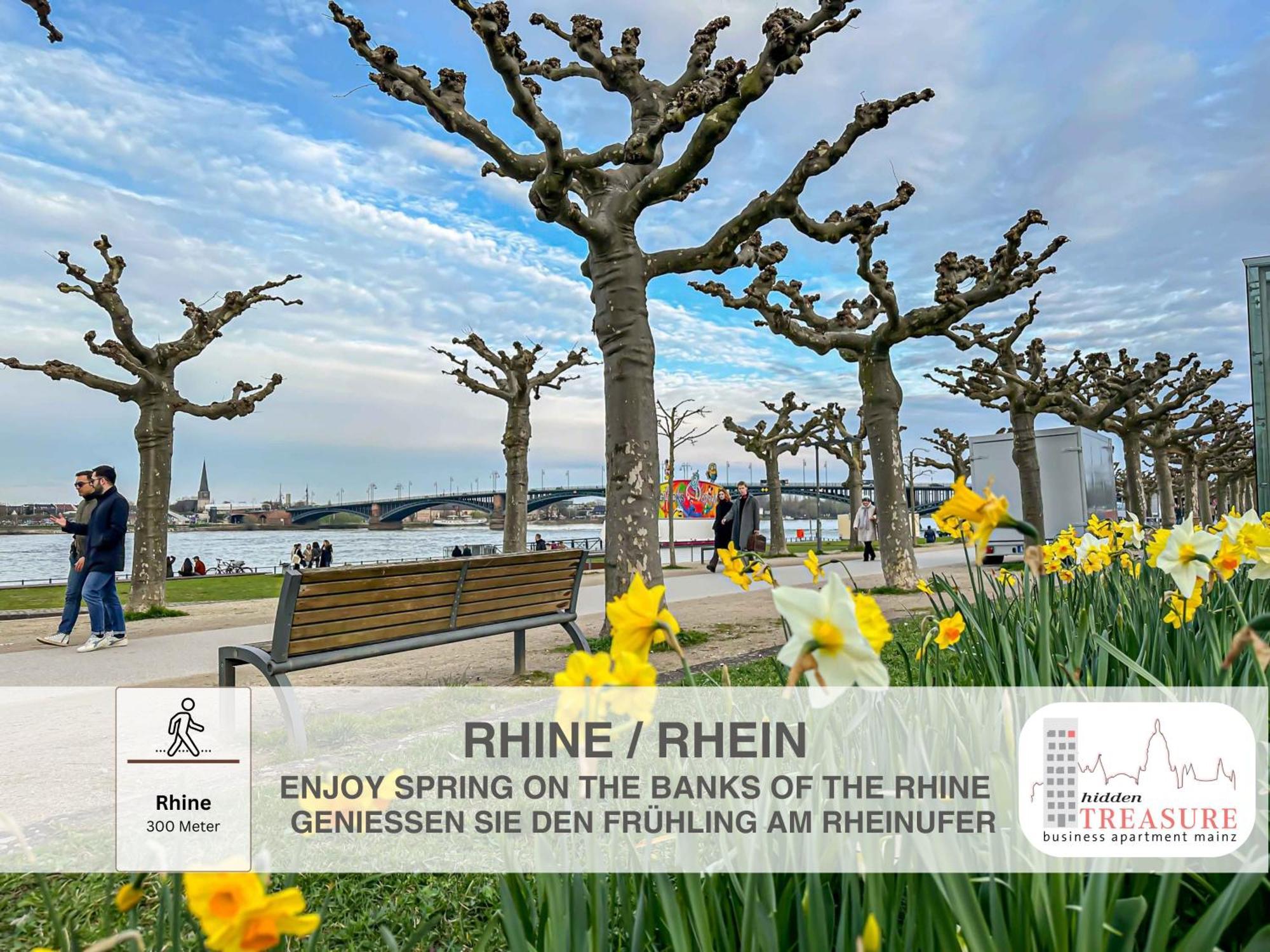 Hidden Treasure Business Apartment Mainz - Fantastic Rhine View In Center Of Mainz Old Town Exteriör bild