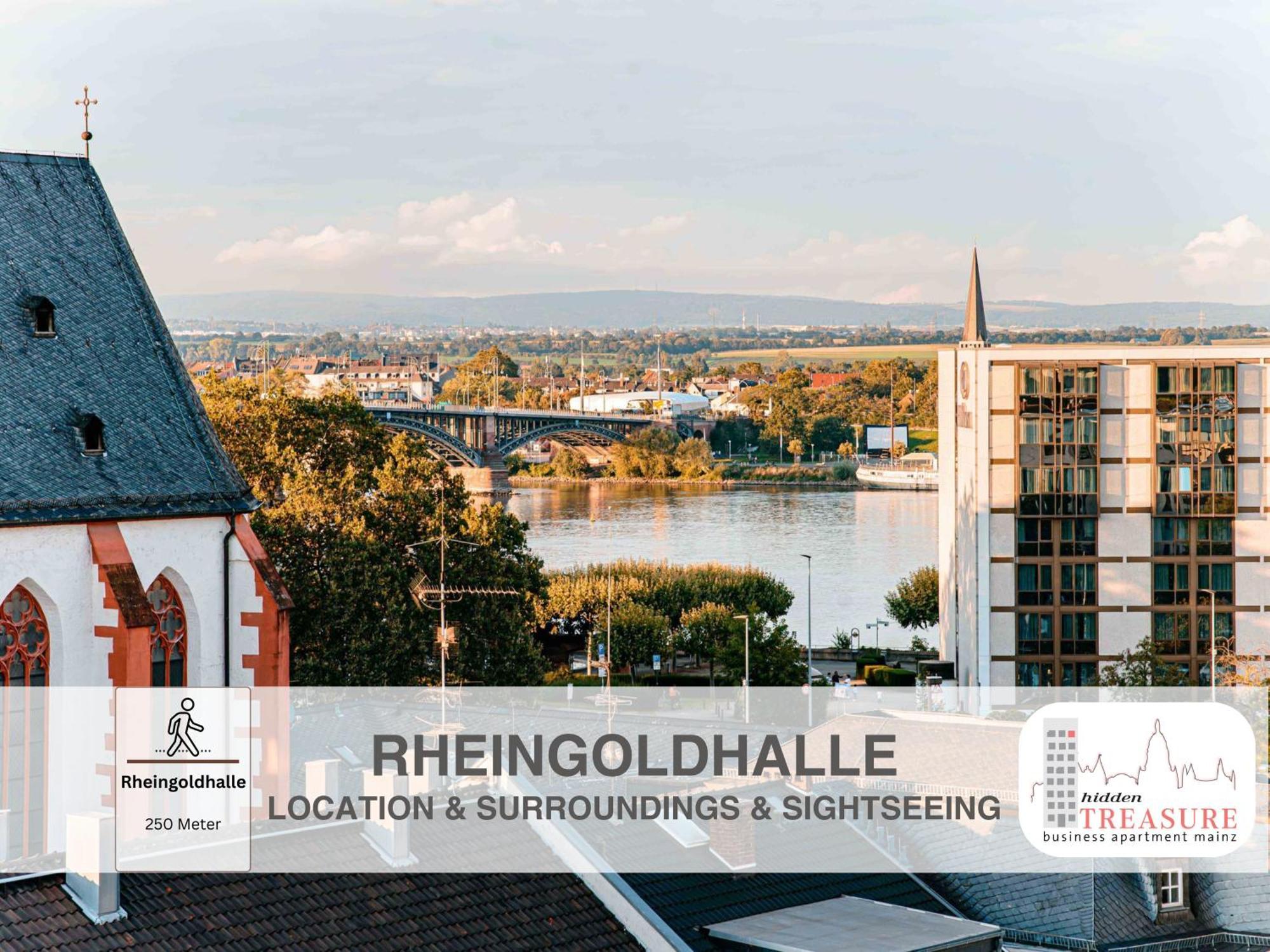 Hidden Treasure Business Apartment Mainz - Fantastic Rhine View In Center Of Mainz Old Town Exteriör bild
