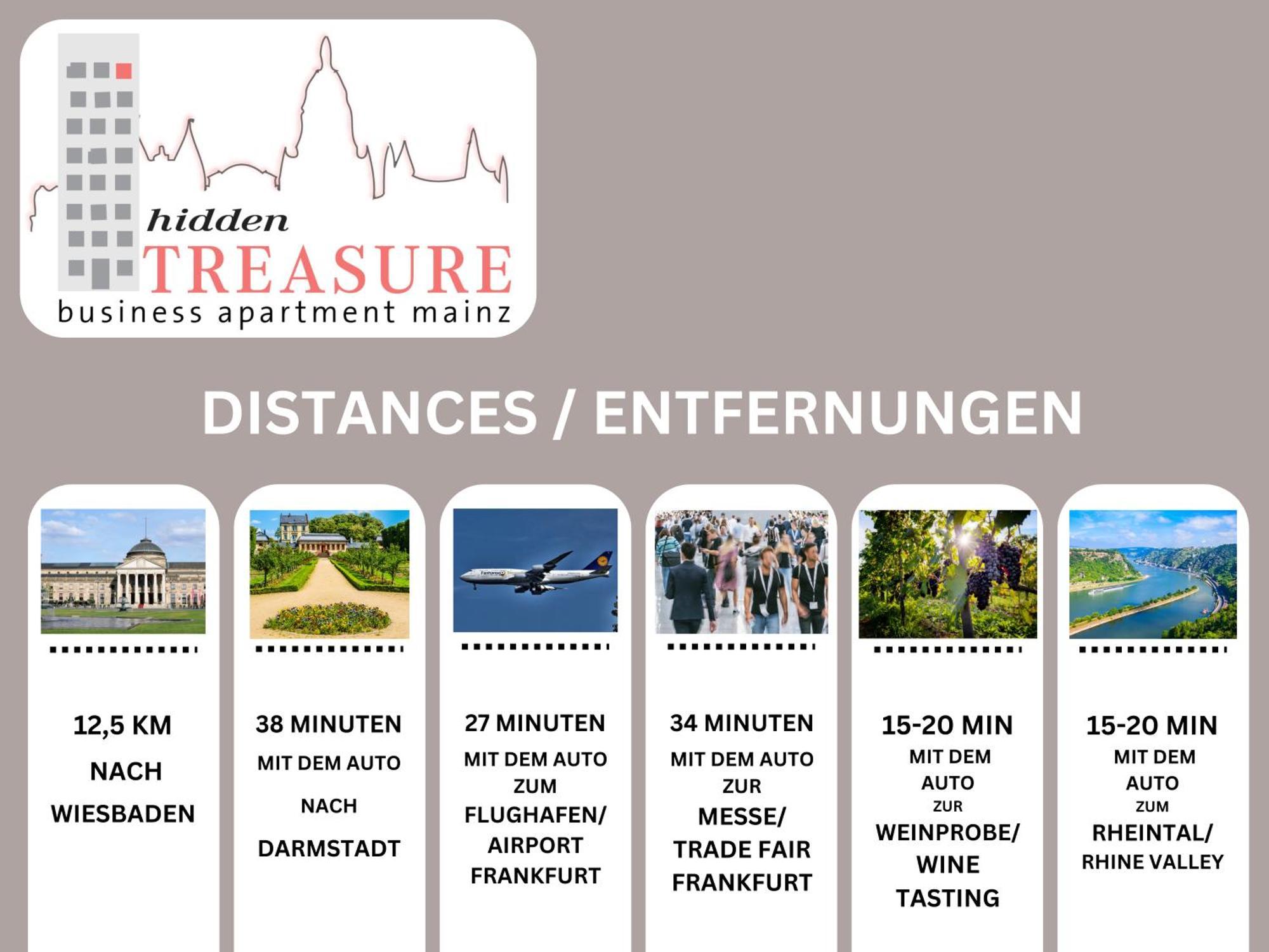Hidden Treasure Business Apartment Mainz - Fantastic Rhine View In Center Of Mainz Old Town Exteriör bild