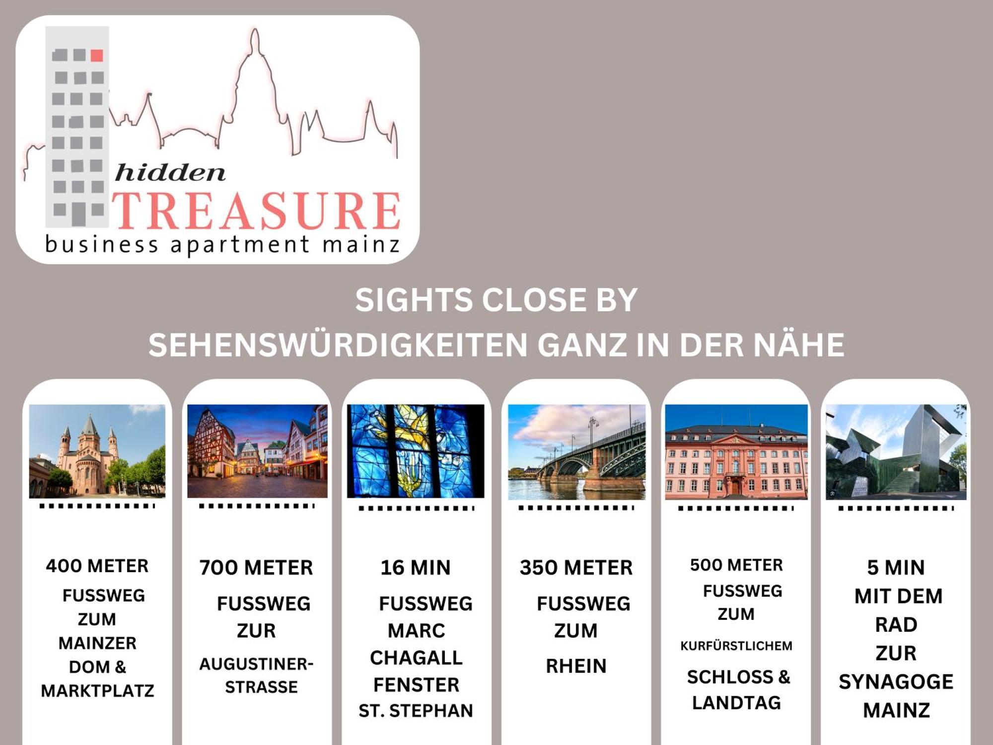 Hidden Treasure Business Apartment Mainz - Fantastic Rhine View In Center Of Mainz Old Town Exteriör bild